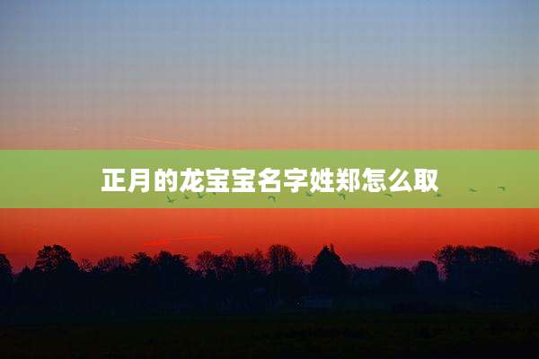 正月的龙宝宝名字姓郑怎么取