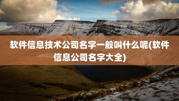 软件信息技术公司名字一般叫什么呢(软件信息公司名字大全)