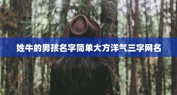 姓牛的男孩名字简单大方洋气三字网名