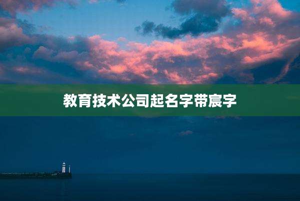 教育技术公司起名字带宸字