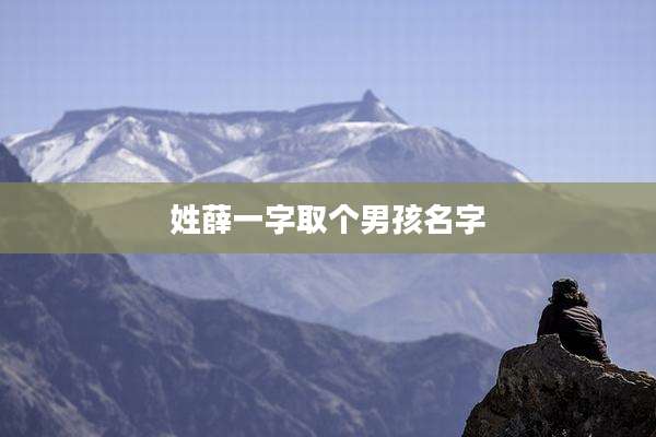 姓薛一字取个男孩名字