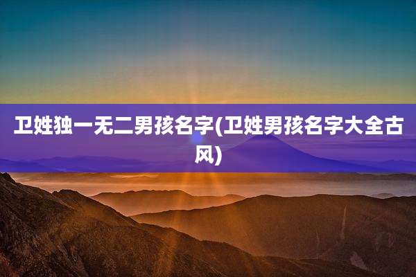 卫姓独一无二男孩名字(卫姓男孩名字大全古风)
