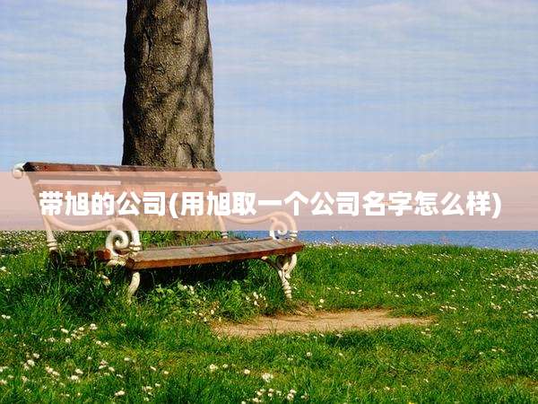 带旭的公司(用旭取一个公司名字怎么样)