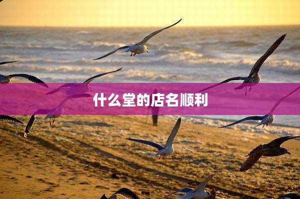 什么堂的店名顺利