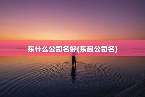 东什么公司名好(东起公司名)