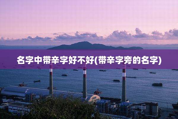名字中带辛字好不好(带辛字旁的名字)
