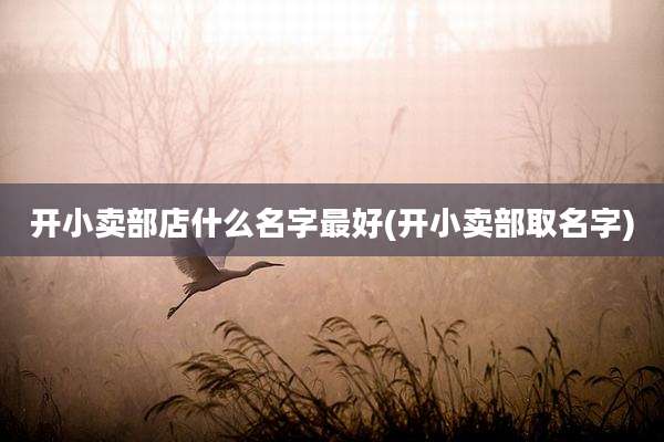开小卖部店什么名字最好(开小卖部取名字)