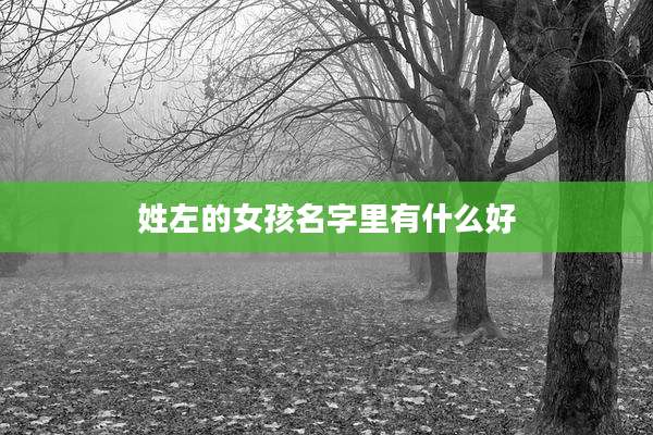 姓左的女孩名字里有什么好