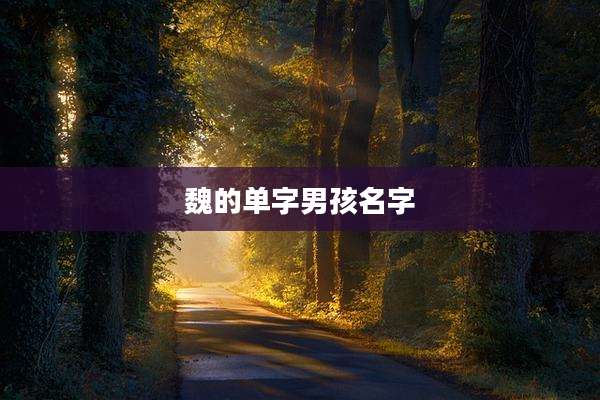 魏的单字男孩名字