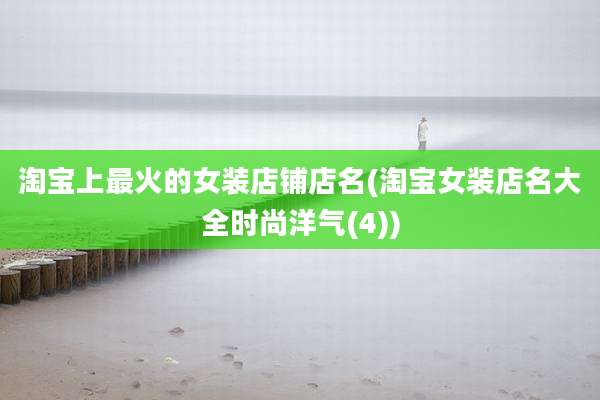 淘宝上最火的女装店铺店名(淘宝女装店名大全时尚洋气(4))