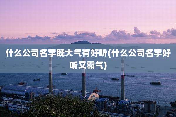 什么公司名字既大气有好听(什么公司名字好听又霸气)