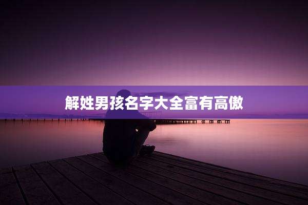 解姓男孩名字大全富有高傲