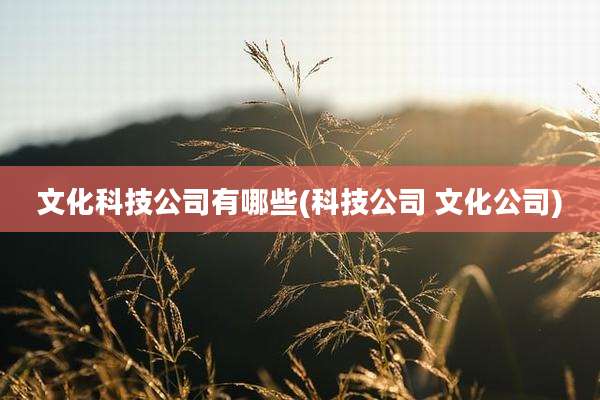 文化科技公司有哪些(科技公司 文化公司)