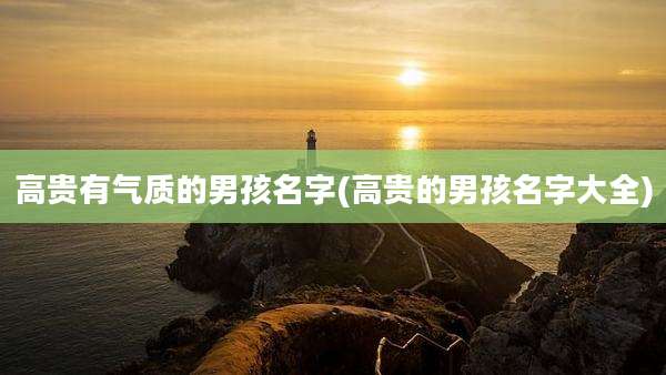 高贵有气质的男孩名字(高贵的男孩名字大全)