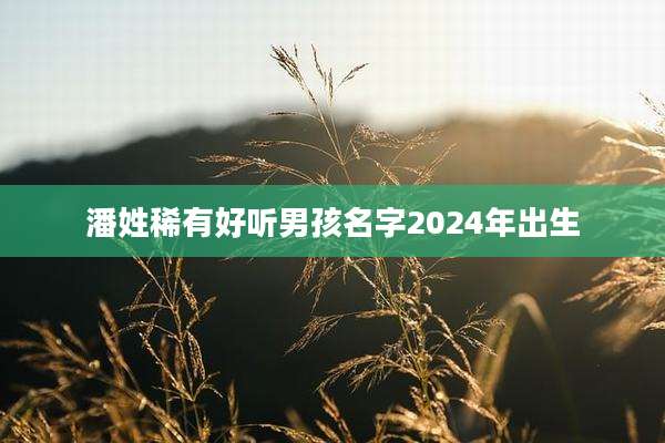 潘姓稀有好听男孩名字2024年出生
