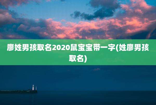廖姓男孩取名2020鼠宝宝带一字(姓廖男孩取名)