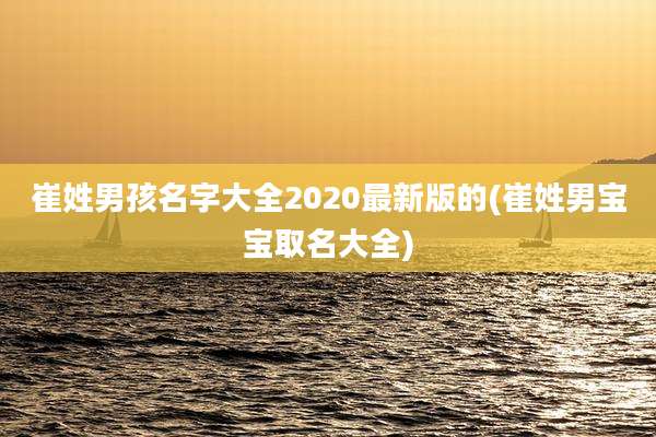 崔姓男孩名字大全2020最新版的(崔姓男宝宝取名大全)