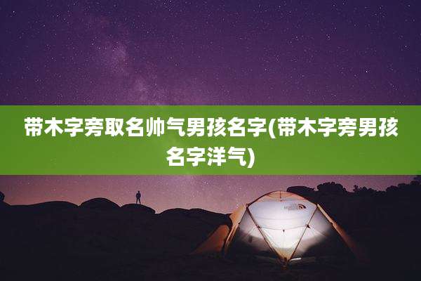 带木字旁取名帅气男孩名字(带木字旁男孩名字洋气)