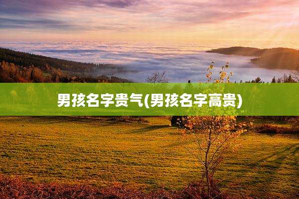 男孩名字贵气(男孩名字高贵)