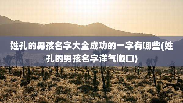 姓孔的男孩名字大全成功的一字有哪些(姓孔的男孩名字洋气顺口)