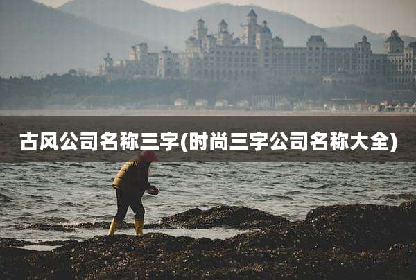 古风公司名称三字(时尚三字公司名称大全)
