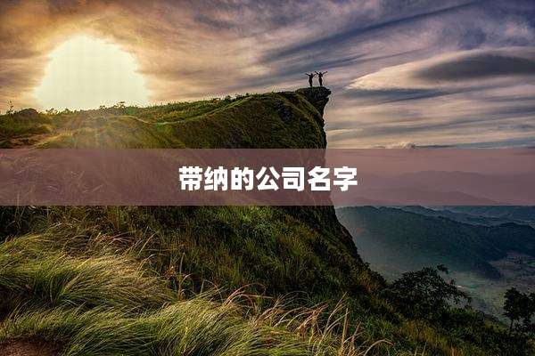 带纳的公司名字