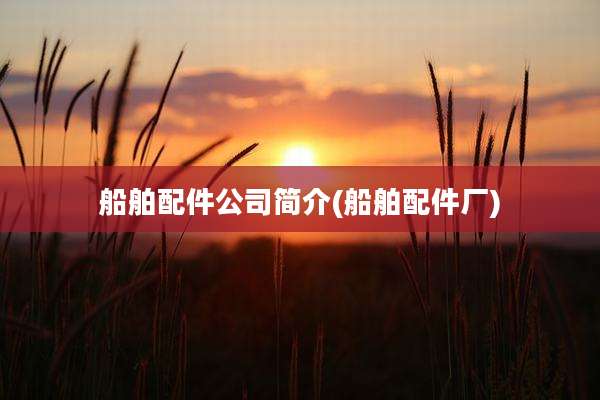 船舶配件公司简介(船舶配件厂)