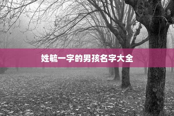 姓毓一字的男孩名字大全