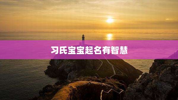 习氏宝宝起名有智慧