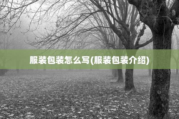 服装包装怎么写(服装包装介绍)