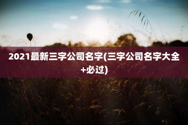 2021最新三字公司名字(三字公司名字大全+必过)
