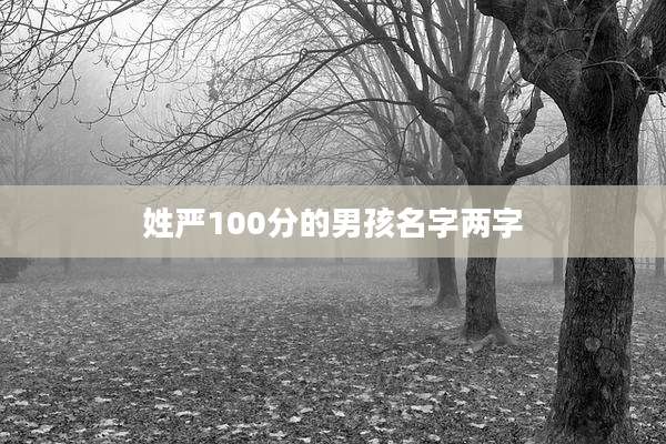 姓严100分的男孩名字两字