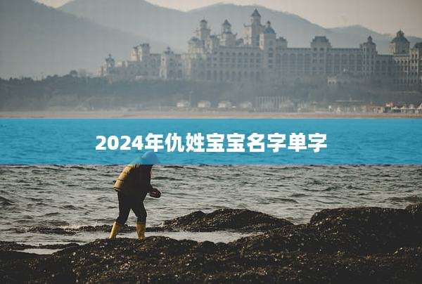 2024年仇姓宝宝名字单字