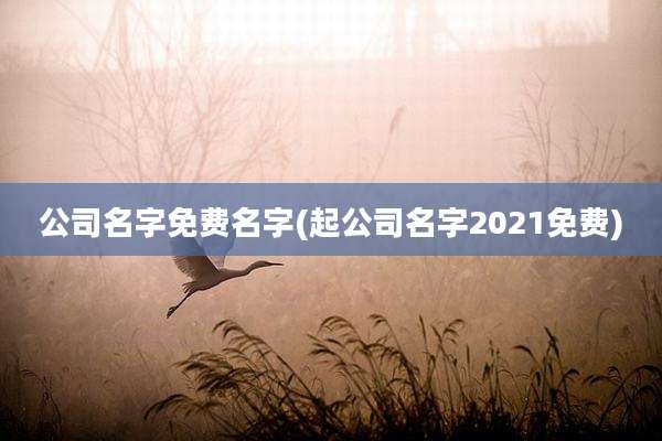 公司名字免费名字(起公司名字2021免费)