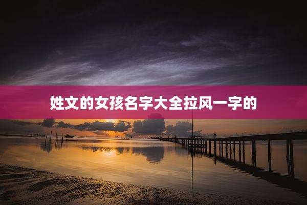 姓文的女孩名字大全拉风一字的