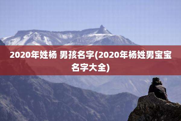 2020年姓杨 男孩名字(2020年杨姓男宝宝名字大全)