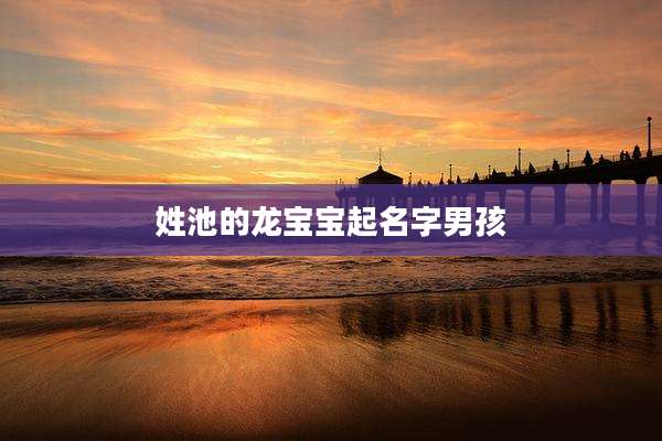 姓池的龙宝宝起名字男孩