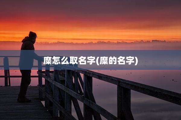 糜怎么取名字(糜的名字)