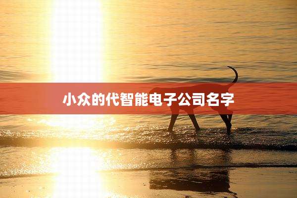 小众的代智能电子公司名字
