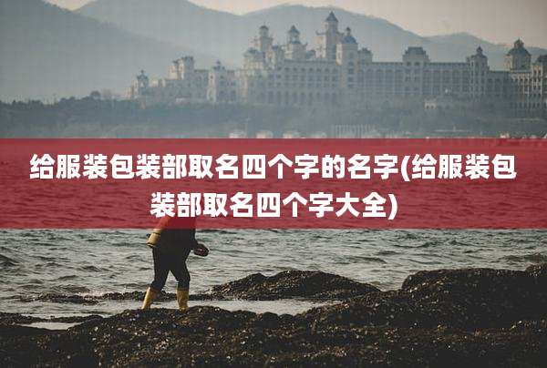 给服装包装部取名四个字的名字(给服装包装部取名四个字大全)