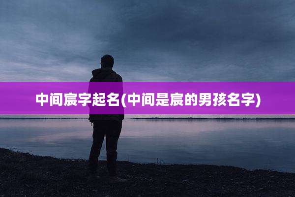中间宸字起名(中间是宸的男孩名字)