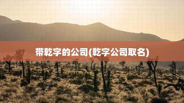 带乾字的公司(乾字公司取名)