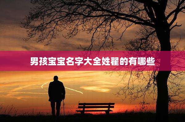 男孩宝宝名字大全姓翟的有哪些