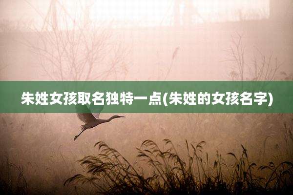 朱姓女孩取名独特一点(朱姓的女孩名字)