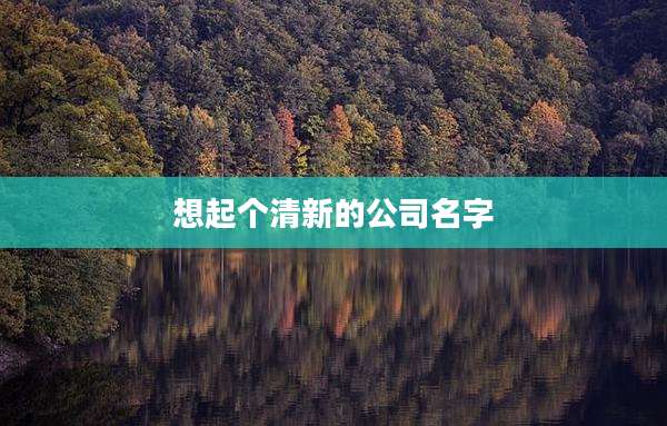 想起个清新的公司名字