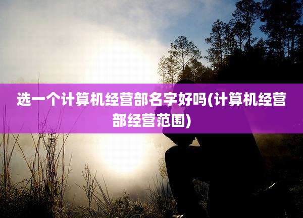 选一个计算机经营部名字好吗(计算机经营部经营范围)