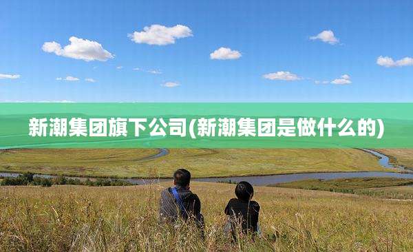 新潮集团旗下公司(新潮集团是做什么的)