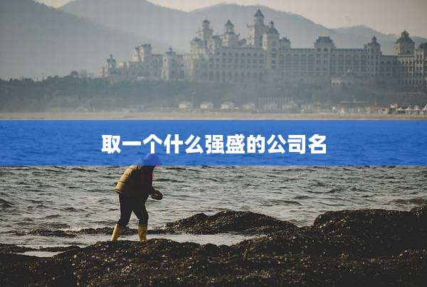取一个什么强盛的公司名