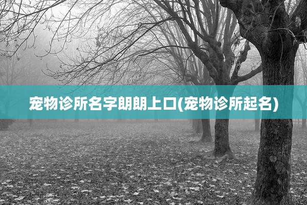 宠物诊所名字朗朗上口(宠物诊所起名)