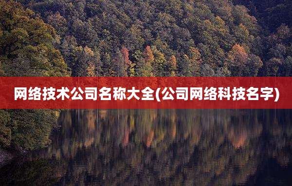 网络技术公司名称大全(公司网络科技名字)